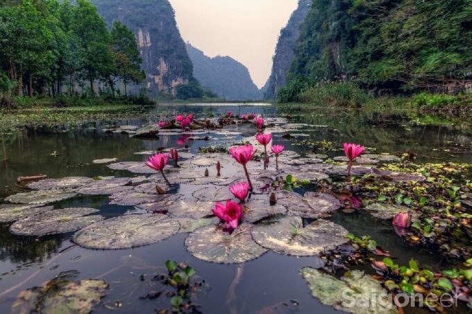 Friendly Travel: Ninh Binh/ Hoa Lu & Tam Coc/ Full Service - Transportation and Amenities