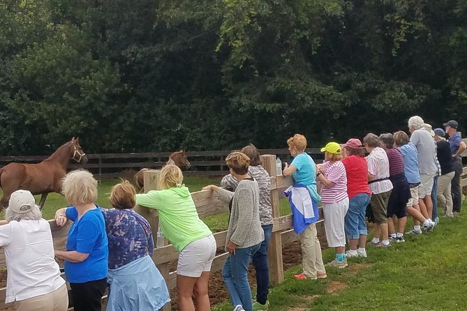 Friesian Herd Tours, Workshops, Classes and Retreats in the Kettle Moraine Area. - Key Points