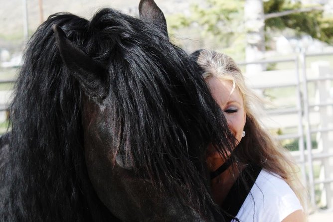 Friesian Herd Tours, Workshops, Classes and Retreats in the Kettle Moraine Area. - Tour Details and Inclusions