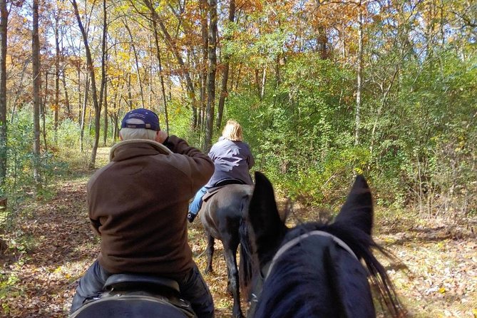 Friesian Herd Tours, Workshops, Classes and Retreats in the Kettle Moraine Area. - Educational Workshops and Classes