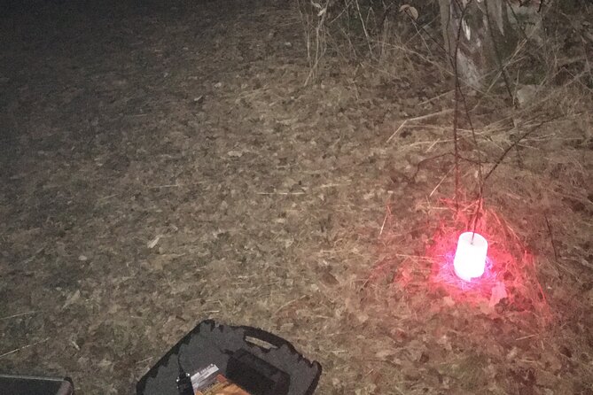 Fright Night Investigation: Small Group St. Augustine - Tour Start Time