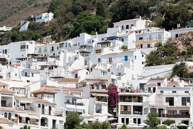 Frigiliana and Nerja Tour Direct From Malaga - Traveler Feedback