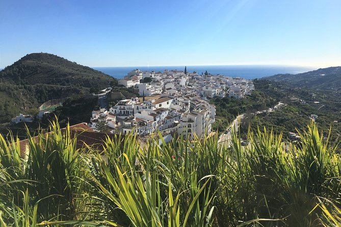 Frigiliana Small-Group Hike and Wine Tasting Tour From Malaga - Navigating the Scenic Hiking Trails