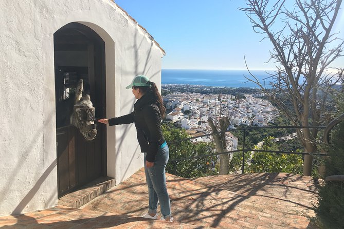 Frigiliana Small-Group Hike and Wine Tasting Tour From Malaga - Customizing Your Tour Experience