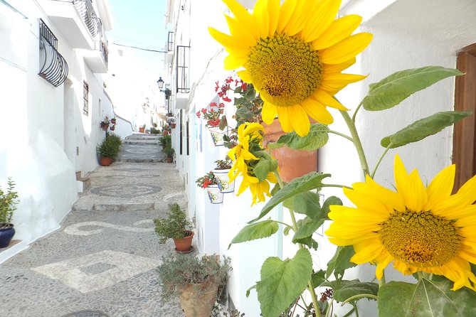 Frigiliana Small-Group Hike and Wine Tasting Tour From Malaga - Ensuring Comfortable Transportation