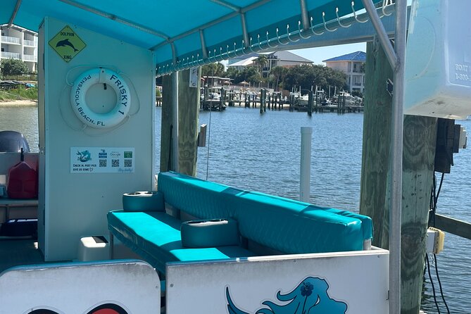Frisky Mermaid Dolphin Tour + Secluded Beach + Equip - Reviews and Ratings