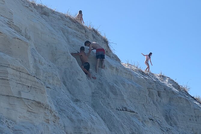 Frisky Mermaid Dolphin Tour + Secluded Beach + Equip - Customer Experiences