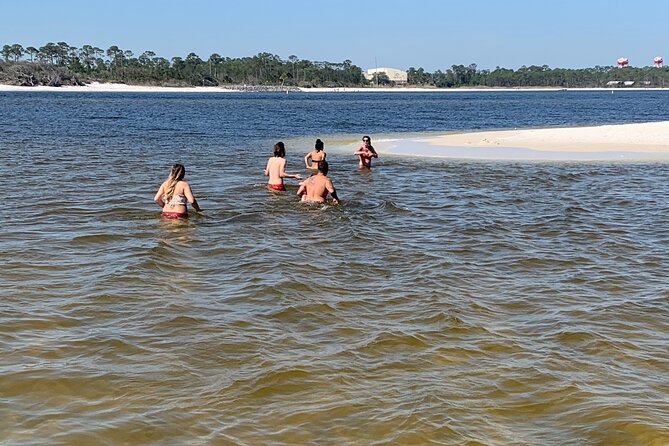 Frisky Mermaid Dolphin Tour + Secluded Beach + Equip - Booking and Confirmation