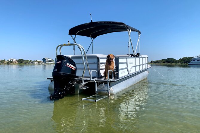 Frisky Mermaid Pontoon Boat Rentals in Pensacola Beach - Meeting Point and Pickup