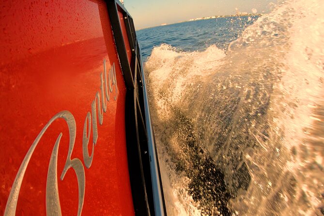 Frisky Mermaid Pontoon Boat Rentals in Pensacola Beach - Reserving Pontoon Boats and Tritoons
