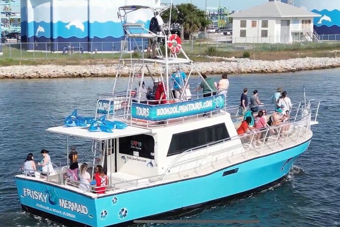 Frisky Mermaid Public Dolphin + Sightseeing Cruise Up to 49 Pax - Customer Reviews