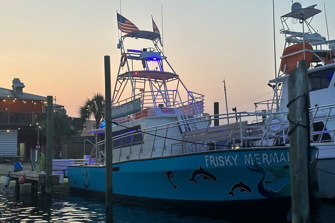 Frisky Mermaid Public Dolphin + Sightseeing Cruise Up to 49 Pax - Meeting Point