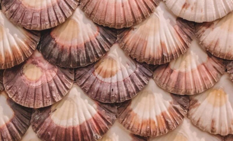 From A Coruña: Rías Baixas Day Trip - Culinary Experience in O Grove