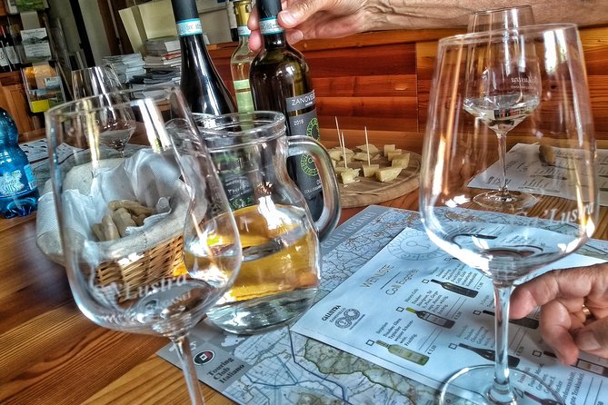 From Abano Montegrotto Olive Oil & Wine in the Euganean Hills - Meeting and Pickup