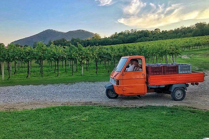 From Abano Montegrotto Olive Oil & Wine in the Euganean Hills - Tour Schedule