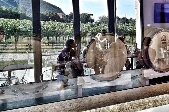 From Abano Montegrotto, Wine Tour in the Euganean Hills - Guided Tour of the Region