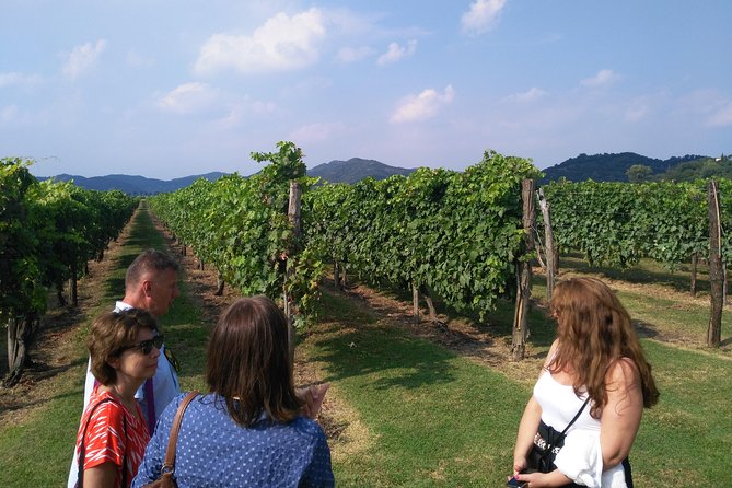 From Abano Montegrotto, Wine Tour in the Euganean Hills - Transportation Options and Accessibility