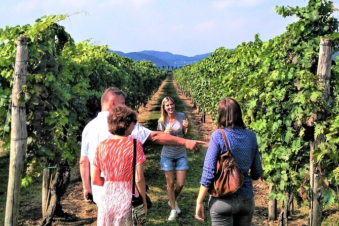 From Abano Montegrotto, Wine Tour in the Euganean Hills - Positive Guest Experiences and Ratings
