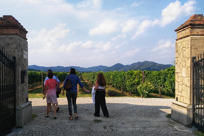 From Abano Montegrotto, Wine Tour in the Euganean Hills - Planning Your Wine Tour Adventure