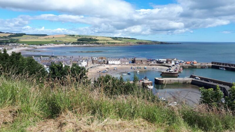 From Aberdeen: Aberdeenshire Guided Day Trip & Castle Visit - Accessibility and Important Information
