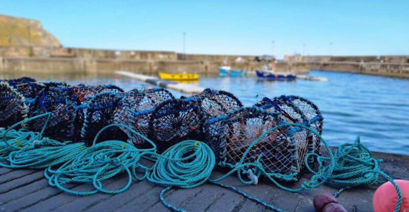 From Aberdeen: Coastal Villages of Aberdeenshire Tour - Gardenstown and Crovie
