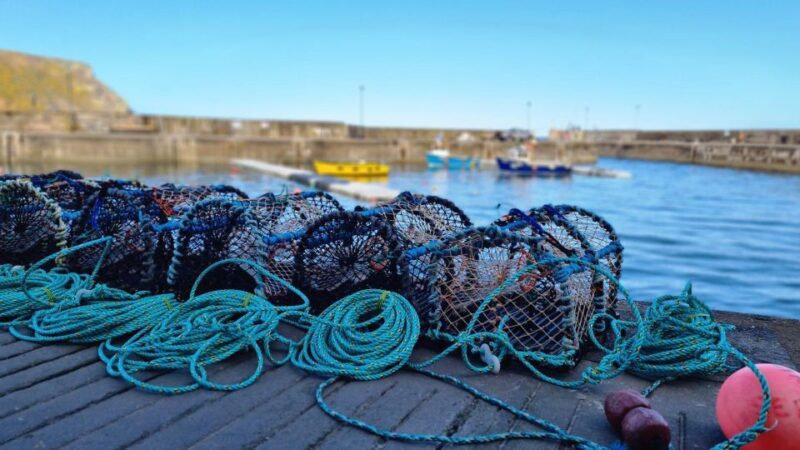 From Aberdeen: Coastal Villages of Aberdeenshire Tour - Fraserburgh