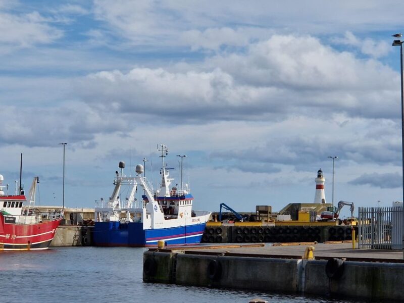 From Aberdeen: Coastal Villages of Aberdeenshire Tour - Transportation and Walking