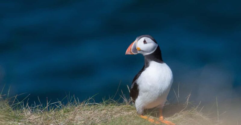 From Aberdeen: North East Coastal Trail Small-Group Tour - Important Information