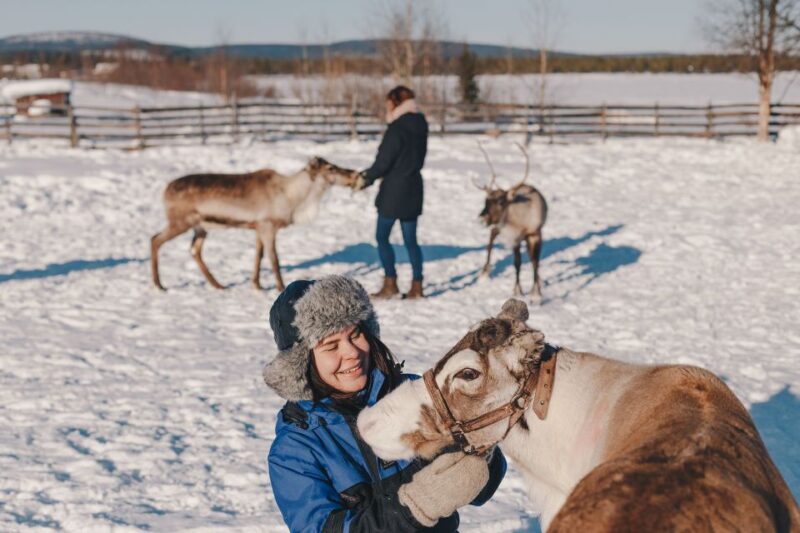 From Abisko/Björkliden: Jukkasjärvi Sami and Reindeer Tour - Sami Culture and Reindeer