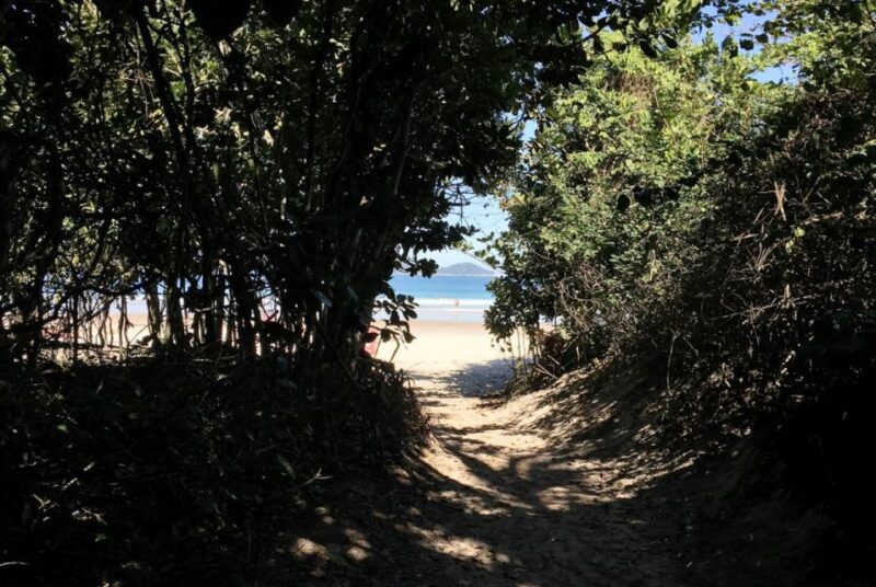 From Abraão, Ilha Grande: Lopes Mendes Beach Tour & Trekking - Walking Itinerary