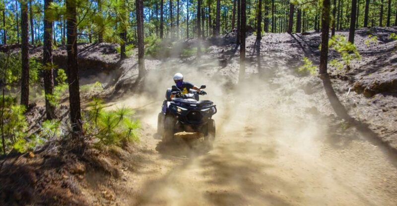 From Adeje: Mount Teide Forest Off-Road Quad Bike Tour - Itinerary