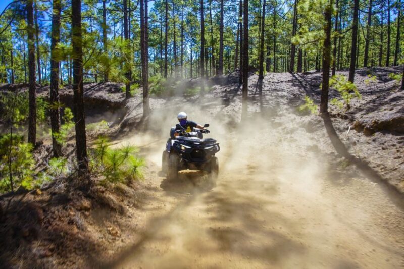 From Adeje: Mount Teide Forest Off-Road Quad Bike Tour - Highlights