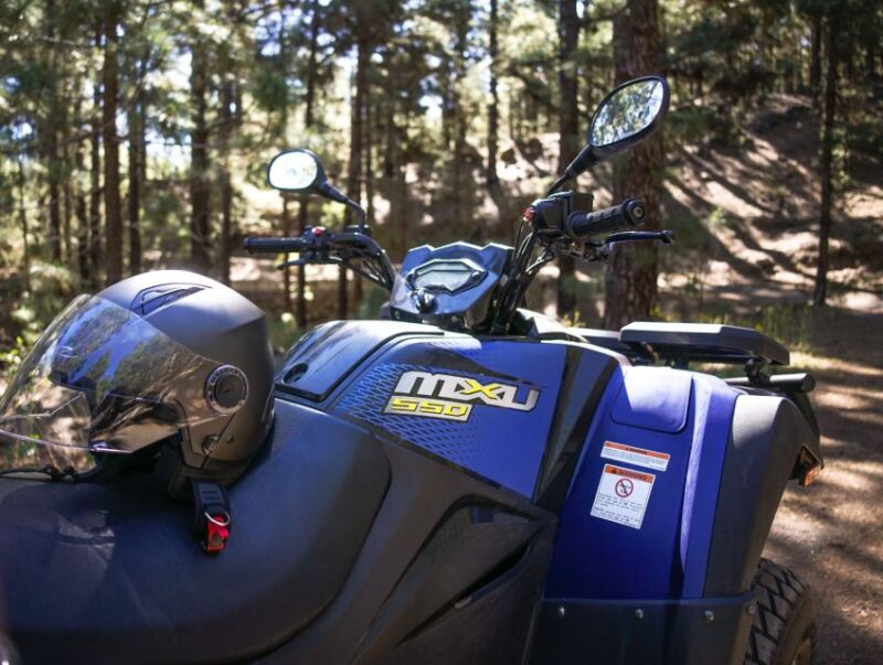 From Adeje: Mount Teide Forest Off-Road Quad Bike Tour - Age and Health Requirements