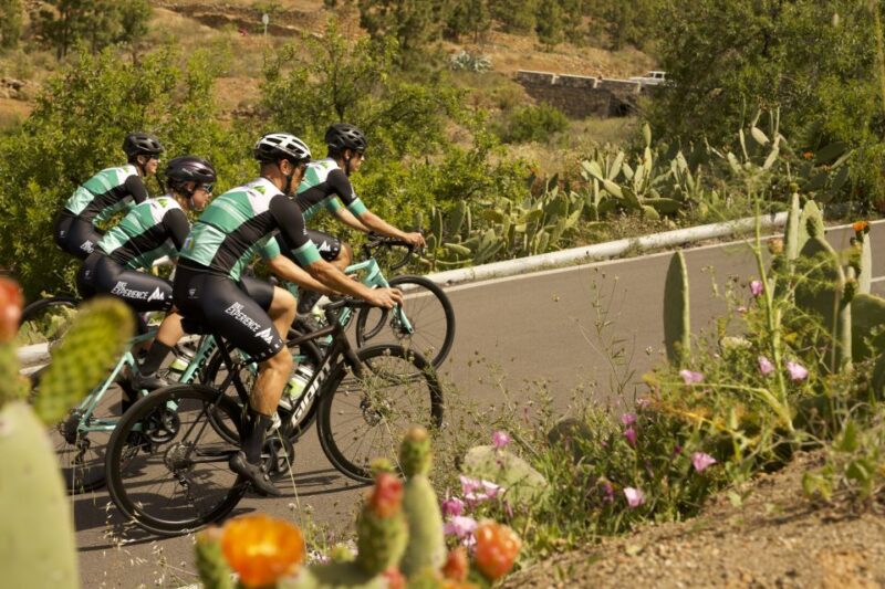 From Adeje: Vilaflor Guided Road Cycling Tour - Passing Through San Miguel