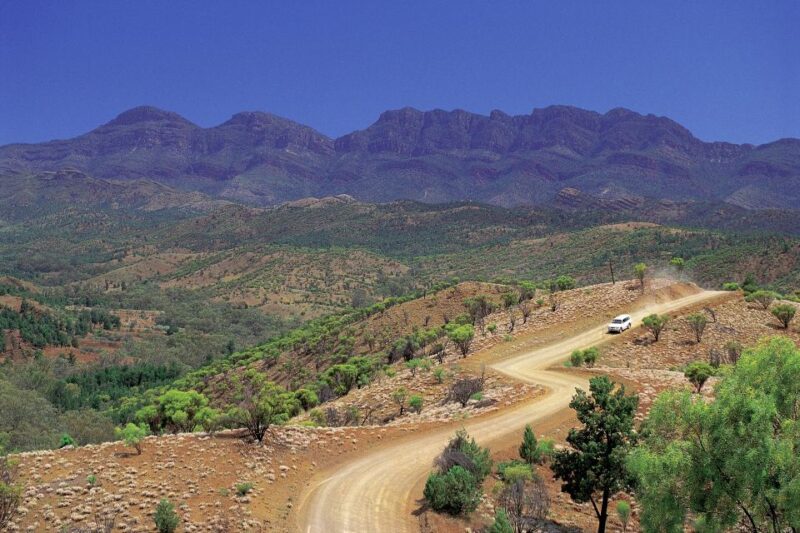 From Adelaide: 3-Day Flinders Ranges Small Group Eco Safari - Key Points