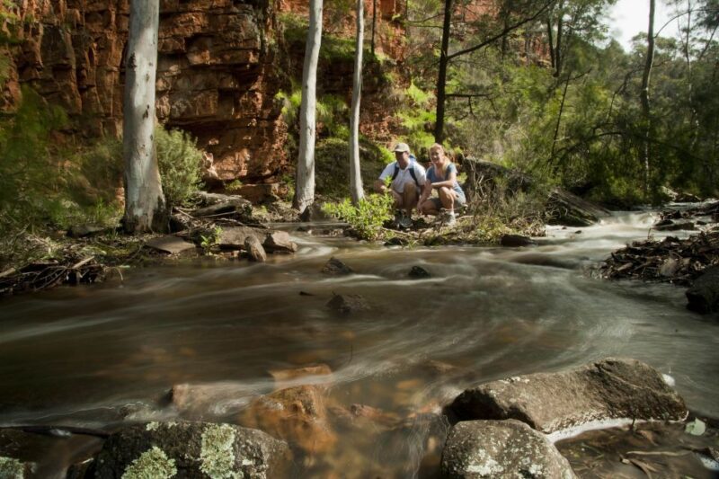 From Adelaide: 3-Day Flinders Ranges Small Group Eco Safari - Booking and Contact