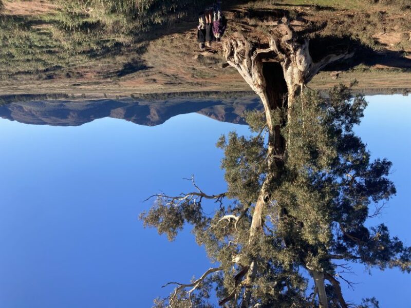From Adelaide: 5-Day Ikara-Flinders Ranges Hiking Tour - Key Points