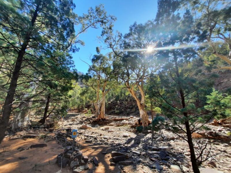 From Adelaide: 5-Day Ikara-Flinders Ranges Hiking Tour - Marveling at Wilpena Pound