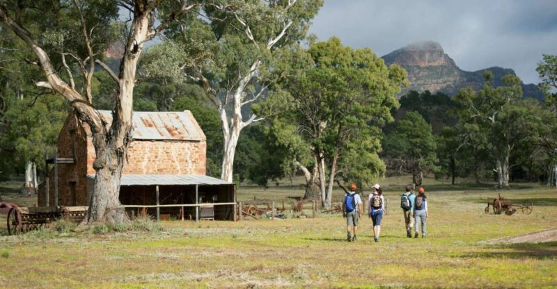 From Adelaide: 5-Day Ikara-Flinders Ranges Hiking Tour - Hiking the Heysen Trail