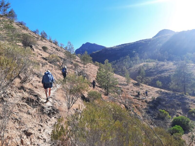 From Adelaide: 5-Day Ikara-Flinders Ranges Hiking Tour - Delectable Meals and Accommodation