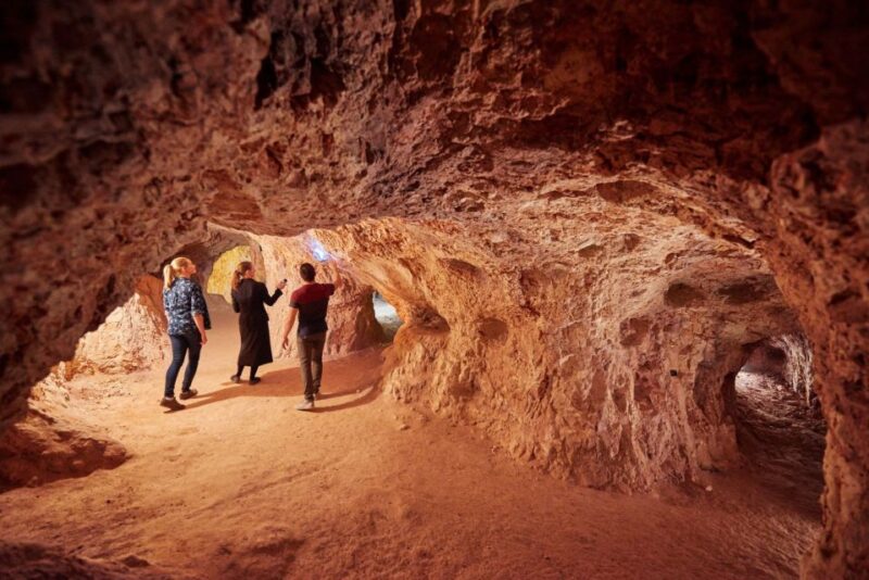 From Adelaide: 8-Day Tour to Uluru - Conservation Activities