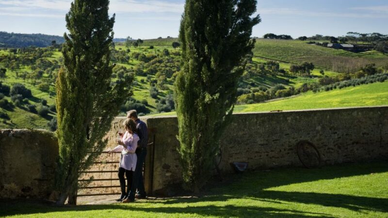 From Adelaide: Boutique Mclaren Vale Wine Tour With Lunch - Key Points