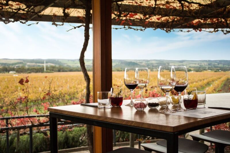 From Adelaide: Boutique Mclaren Vale Wine Tour With Lunch - Tasting Experiences