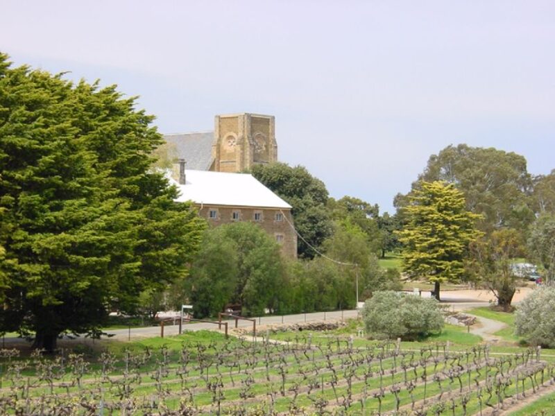From Adelaide: Clare Valley Winery Tour - Lunch at Seed Restaurant