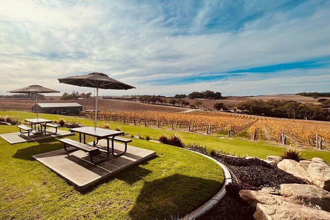 From Adelaide Cruise Ship to McLaren Vale and Historic Hahndorf - Key Points