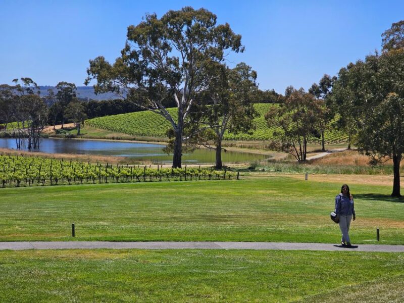 From Adelaide: Cuddle a Koala and Historic Hahndorf Tour - Gorge Wildlife Park