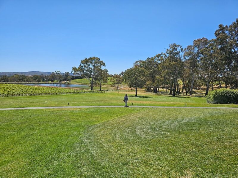 From Adelaide: Cuddle a Koala and Historic Hahndorf Tour - Homeward Bound Treats