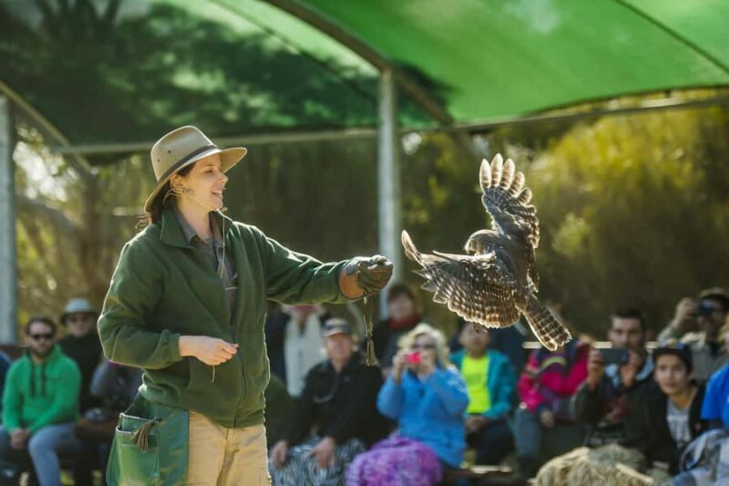 From Adelaide: Kangaroo Island Sip and See Day Trip - Who Should Consider This Tour?