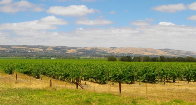 From Adelaide: McLaren Vale Winery Tour via Hahndorf - Best Wineries in McLaren Vale