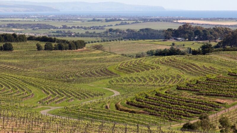 From Adelaide: McLaren Vale Winery Tour via Hahndorf - Art Studios and Galleries